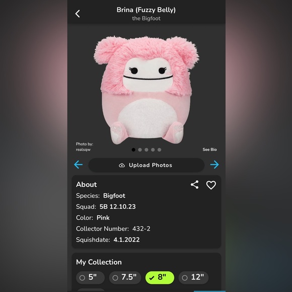 BNWT: 8” Brina (Fuzzy Belly) Squishmallow - Picture 10 of 10